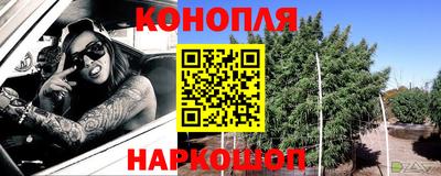 стаф Гагарин
