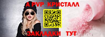 шишки Гай