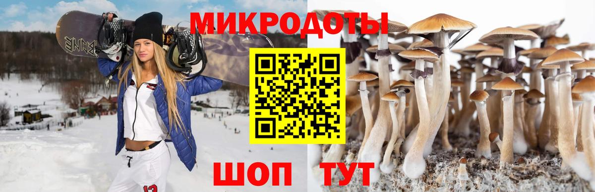 Галлюциногенные грибы ЛСД  Вход с VPN  Трёхгорный  Псилоцибиновые грибы мухоморы 