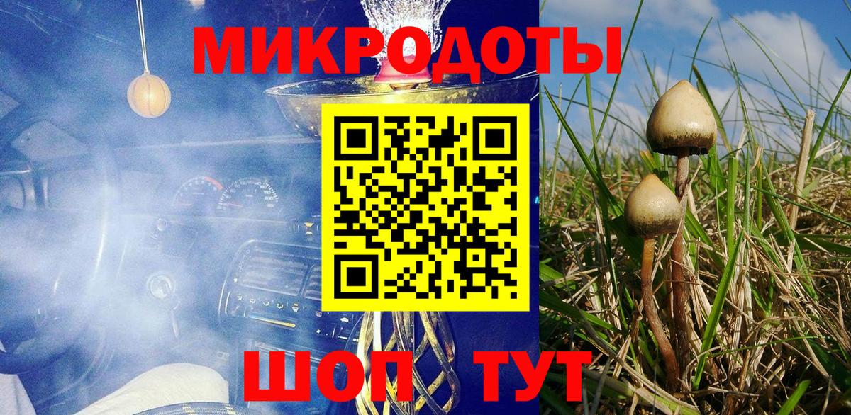 Галлюциногенные грибы Psilocybine cubensis Трёхгорный